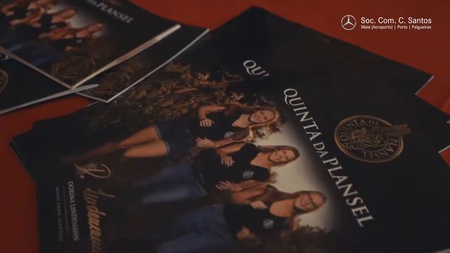 She's Mercedes Lideres Femininas na Rota da N2 смотреть онлайн