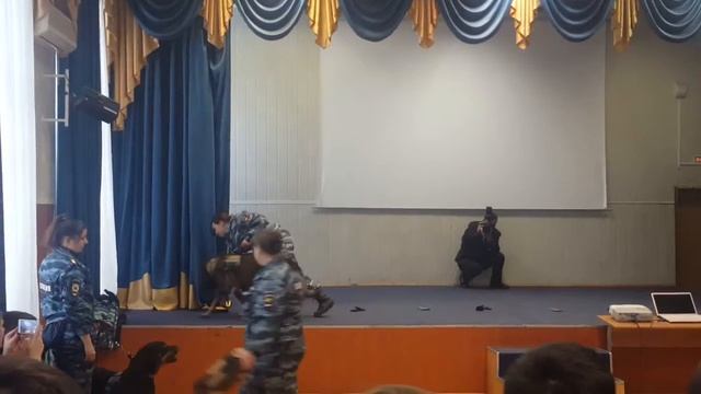 ФСКН. Работа служебной собаки. смотреть онлайн