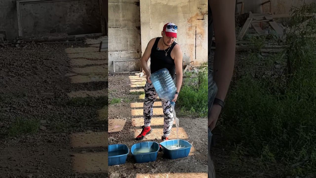 В воскресенье у бездомных друзей❤️