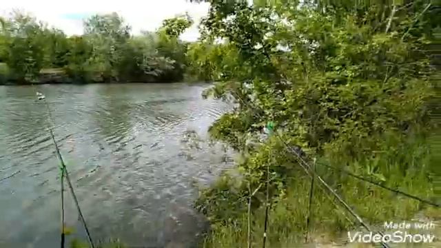 Вместо парка Красная роща, на тёплый канал смотреть онлайн