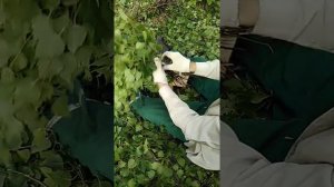 Станок для вязания банных веников