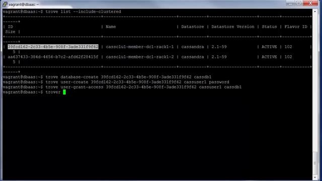 Create and Manage Cassandra Clusters смотреть онлайн