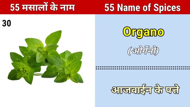 Spices Name in English and Hindi With Pictures | Masalo ke nam | spicy Vocabulary смотреть онлайн