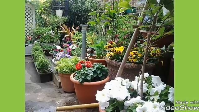 Олег Мун - Подарю тебе я розы.сл.Олег Мун.муз.аранж.Александр Дудников. смотреть онлайн