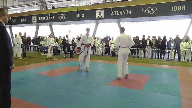 Кубок Хортицы 2015 по Каратэномичи - Кумитэ взрослые 1 часть смотреть онлайн