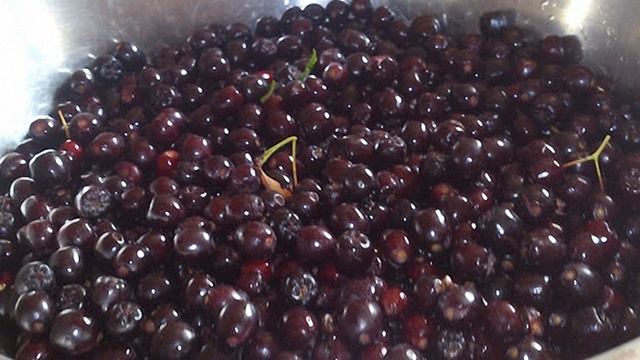 Сборник рецептов