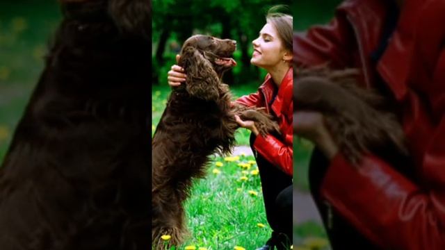 АЛИНА КАБАЕВА В ТЯЖЁЛОМ СОСТОЯНИИ.. П0ЧКИ РАЗРУШАЮТСЯ! #Shorts смотреть онлайн