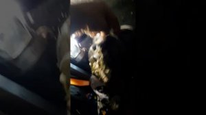 Как поменять мотор печки Рено Сондеро , Логон. Очень просто.