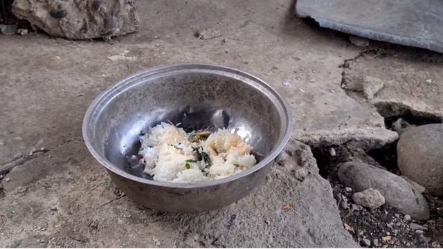 BIO 131L YA_Final Project - Ibanez & Ellarina смотреть онлайн