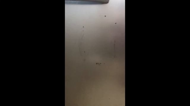 Идеально помыла холодильник салфетками Гринвей смотреть онлайн