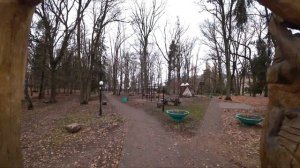 Ладушкин (Ludwigsort) , Калининградская область, ДУБ 900 ЛЕТ!!!