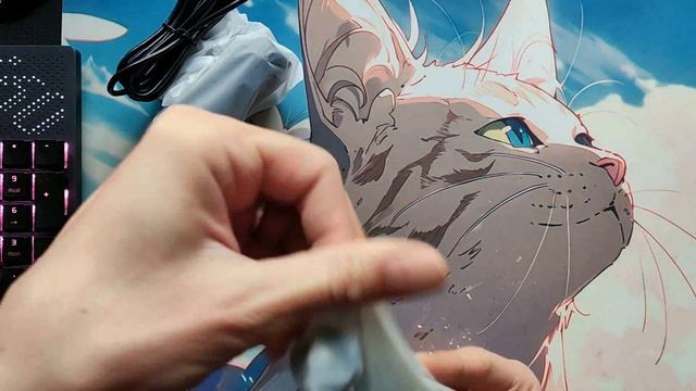 Купил первую в жизни веб-камеру - streamplify CAM смотреть онлайн