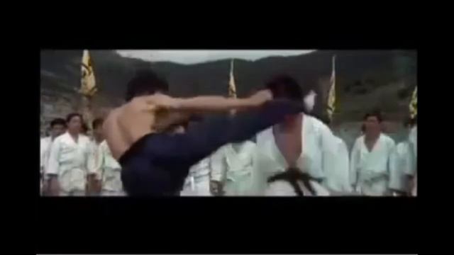 -Bruce Lee Tribute