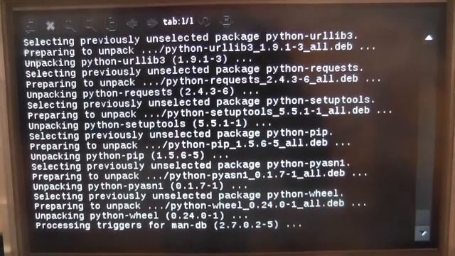 Pocket C.H.I.P Does Not Pokemon Go Tracking смотреть онлайн