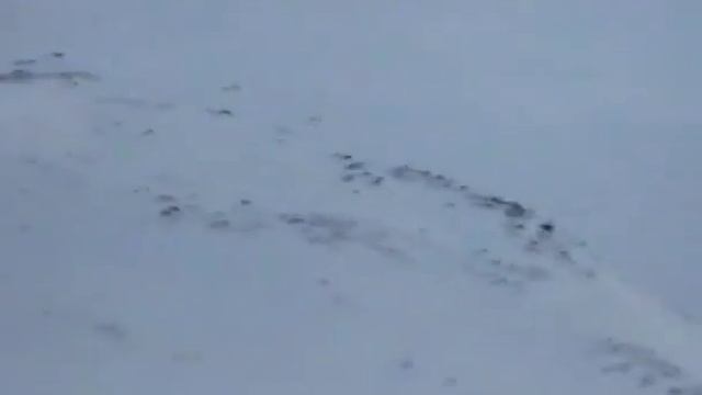 2001/01 Хибины смотреть онлайн