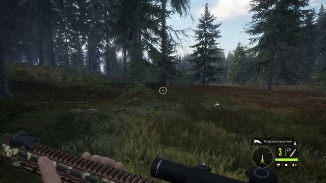 Prawie złoto!! | theHunter: Call of the Wild (#5) смотреть онлайн