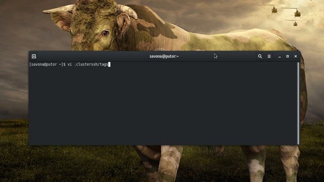 Cluster SSH - Manage Multiple Linux Servers Simultaneously смотреть онлайн