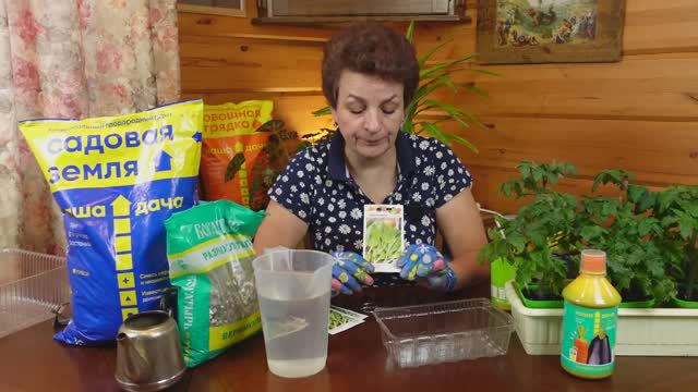 НЕ СЕЙТЕ ЧЕРЕМШУ (МЕДВЕЖИЙ ЛУК) ПОКА НЕ УВИДИТЕ КАК НУЖНО! ВЫРАСТИТЬ ЧЕРЕМШУ ИЗ СЕМЯН ПРОЩЕ ПРОСТОГО