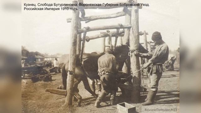 Как подковывали лошадей в Воронежской губернии смотреть онлайн