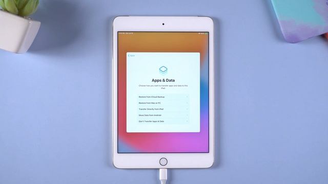 How To Reset Disabled IPad Without ITunes