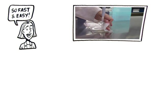 Charm Peel Plate Whiteboard Video смотреть онлайн