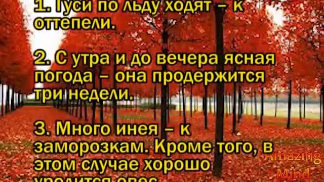Народные приметы на 22 ноября 2020 года смотреть онлайн