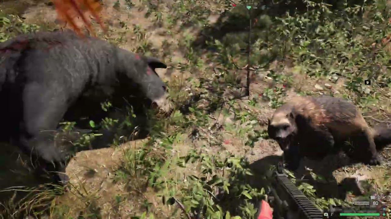 Far Cry 5 - 65 часть Охота из РПГ смотреть онлайн