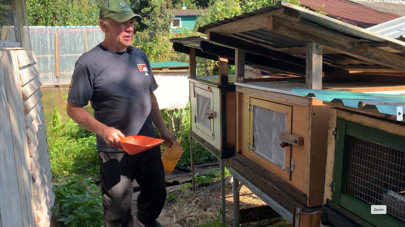 Много крольчат этим летом народилось