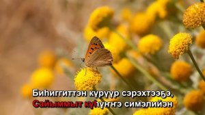 Радивер & Замир - Лыах (Караоке)