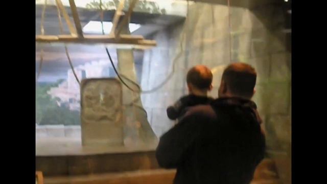 Дети и животные в зоопарке. смотреть онлайн