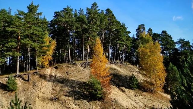 Осенний лес (слайд-шоу) смотреть онлайн
