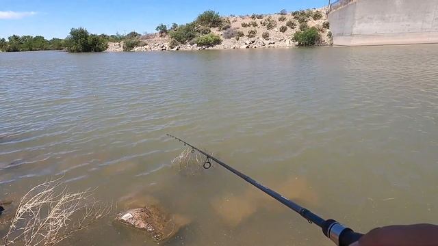 Largemouth Bass Love Gulp Minnows смотреть онлайн