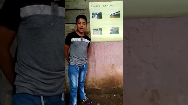 Propaganda del instituto INMEBOC смотреть онлайн
