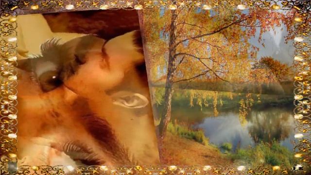 У любви глаза твои Поет Иван Лови смотреть онлайн