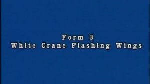 Поль Лам. Тайцзи — Комплекс из 24-х форм. (Paul Lam. Tai Chi — The 24 Forms).