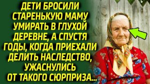 Бросив маму в одиночестве, дети за спиной делили наследство, а спустя годы ужаснулись, узнав что...