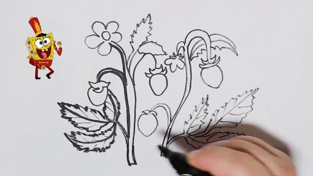 Draw berries for children | Рисуем ягоды для детей смотреть онлайн
