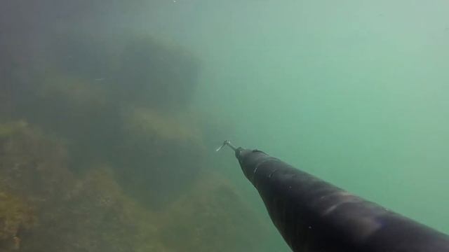 Азербайджан,Баку_Каспий_охота на Кефаль. смотреть онлайн