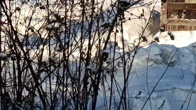 после пожара п.Речной смотреть онлайн