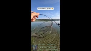 Рыбалка. Окуня на джиг.