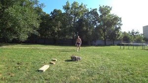 Серж Дур-Дачник. ГЛАДИАТОРСКАЯ ТРЕНИРОВКА 7. День 27 августа 2019 год. Тренировочный день.