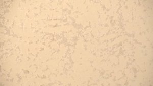 Материалы для отделки стен внутри дома