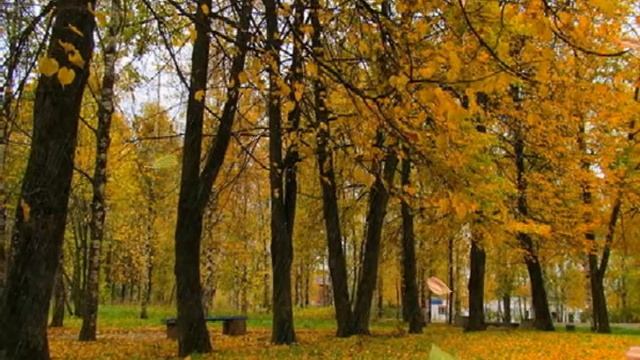 Осень,ливень,листопад смотреть онлайн