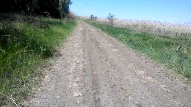 прогулка по берегу реки смотреть онлайн