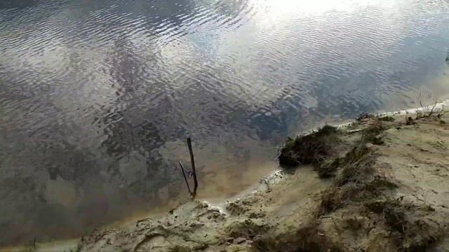 Рыбалка и грибалка в июле. Река б.Балык.рыба/грибы.ХМАО #рыбалка#грибы#щука#грибалка#лето#многорыбы смотреть онлайн