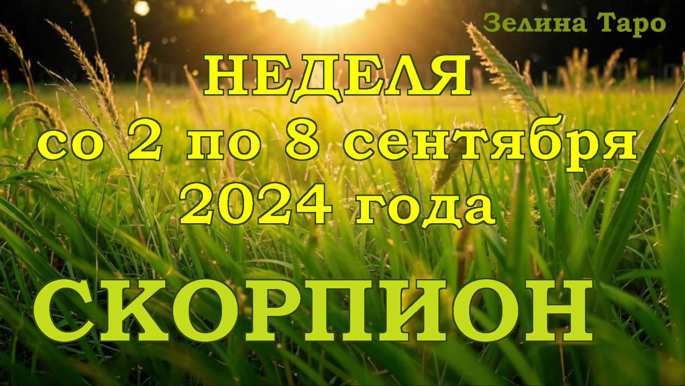 СКОРПИОН | ТАРО прогноз на неделю со 2 по 8 сентября 2024 года