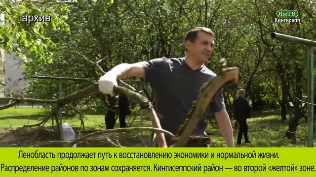 Снятие ограничений с 1 июня смотреть онлайн