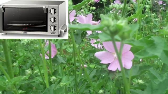 ASMR Вредна ли микроволновая печь смотреть онлайн