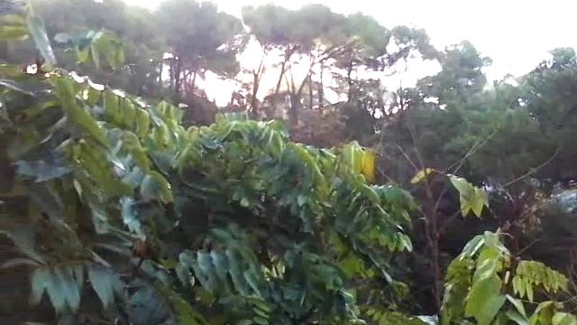 Comment est la vue de rosamar spa ❇ смотреть онлайн