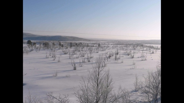 Вальс ветеранов (тундры белый ковер / от тебя не уйдешь)